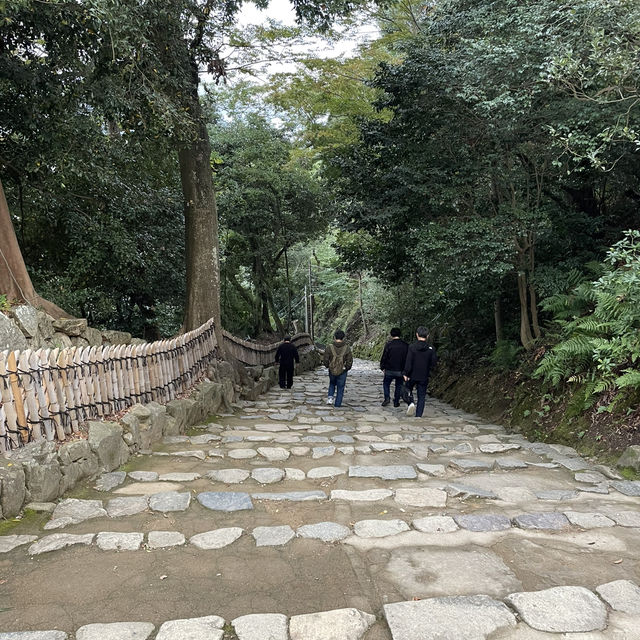 【滋賀/彦根】彦根城