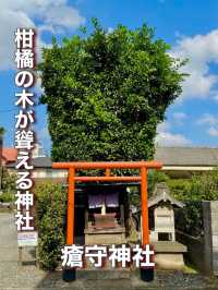 【東京都】柑橘の木が聳える神社
