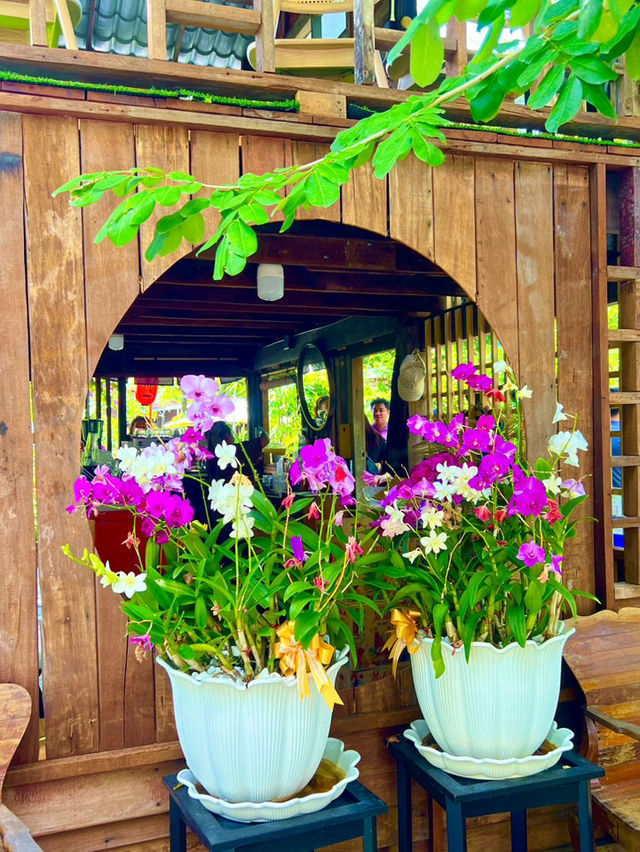 ป่าช้าคาเฟ่