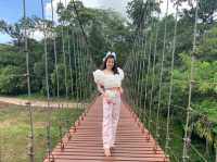 สะพานแขวนลาวา