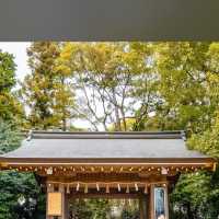 【神奈川】八方除けで有名！寒川神社