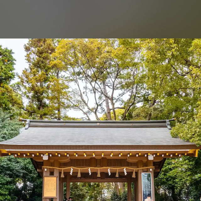 【神奈川】八方除けで有名！寒川神社