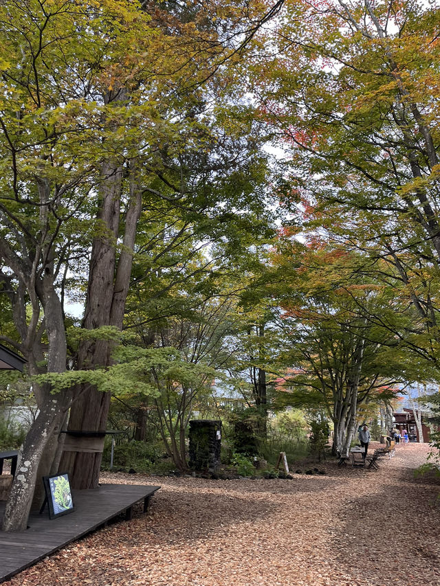 【軽井沢】軽井沢に新しく出来た複合施設🏠