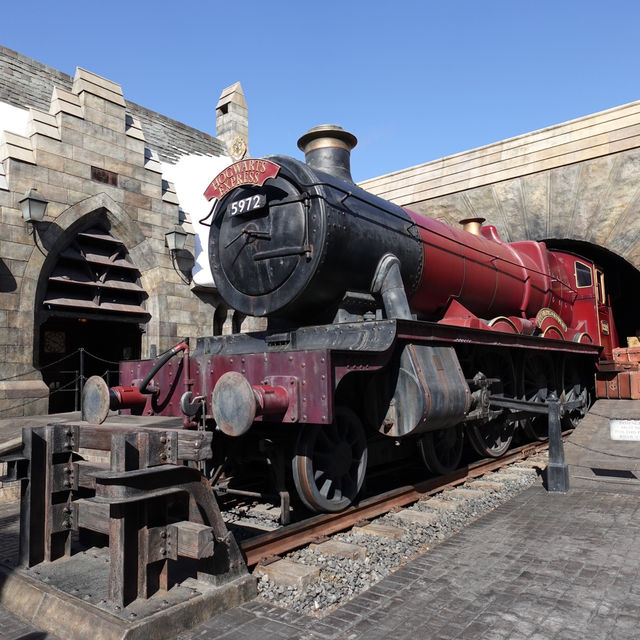 Potterhead's Dream!✨🪄🧙‍♂️