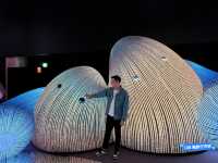 《AI靈感大師：澳洲3D光影觸動樂園》：科技結合藝術的美妙絕倫