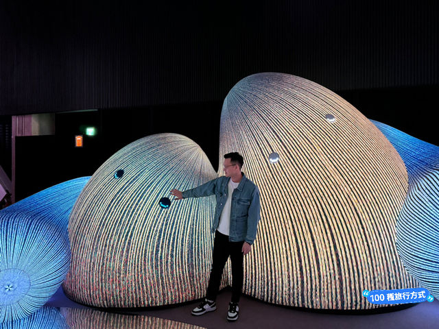 《AI靈感大師：澳洲3D光影觸動樂園》：科技結合藝術的美妙絕倫