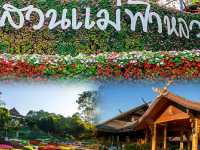 ชมดอกไม้..สวนแม่ฟ้าหลวง