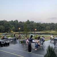 Jungle space village - คาเฟ่เขียวขจี จ.นครพนม
