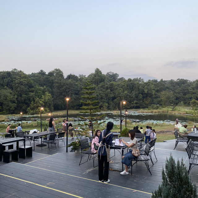 Jungle space village - คาเฟ่เขียวขจี จ.นครพนม