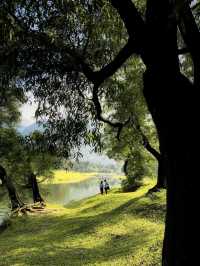 Kariyathumpara: Where Nature Meets Tranquility – Discover Kerala’s Best-Kept Secret