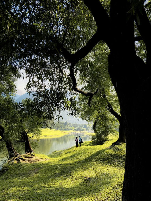 Kariyathumpara: Where Nature Meets Tranquility – Discover Kerala’s Best-Kept Secret