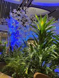 Steel in Bloom at Changi Terminal 4