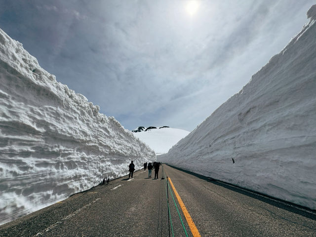 探訪立山黑部：壯麗的雪山觀光之旅 🏔️🌸
