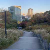 Namsan Park ในฤดูใบไม้เปลี่ยนสี