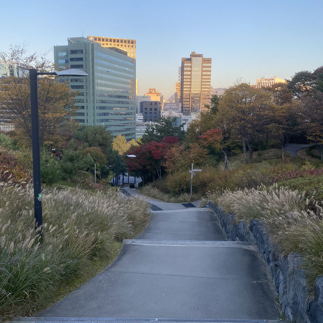 Namsan Park ในฤดูใบไม้เปลี่ยนสี