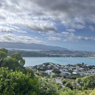 [NZ] Panoramic view of Wellington 🔭