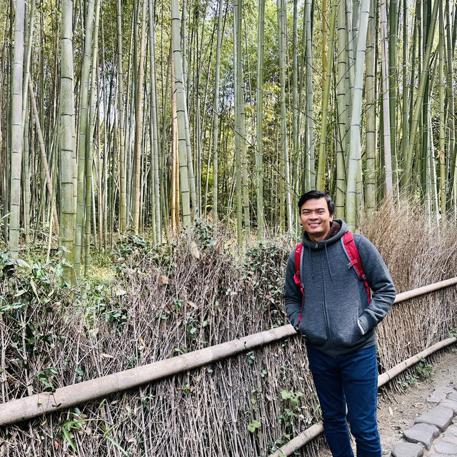 Lost in Arashiyama’s Magical Bamboo Forest!