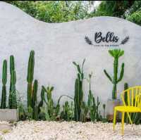 Bellis cafe ~ ร้านกาแฟในสวน