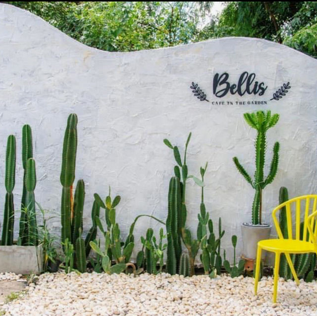 Bellis cafe ~ ร้านกาแฟในสวน
