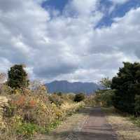 桜島観光完全ガイド：活火山と共生する島の魅力を徹底解説
