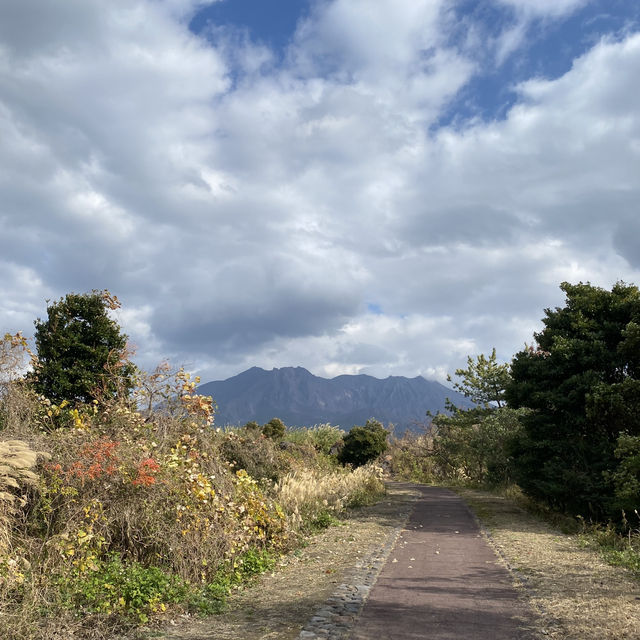 桜島観光完全ガイド：活火山と共生する島の魅力を徹底解説