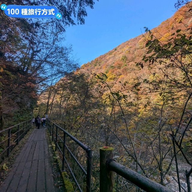 日本秋田-郊遊踏青的好去處：抱返溪谷