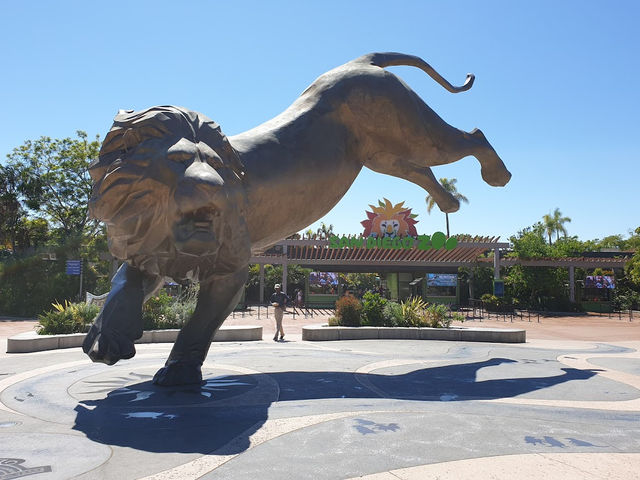 🐯🧸샌디에고 동물원 San diego zoo
