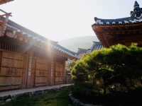 Yongin Dae Jang Geum Park ย้อนเวลาเข้าสู่โลกซีรีส์