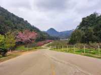 ธรรมชาติงดงาม ในหุบเขาสลับซับซ้อน บนยอดดอยอ่างขาง