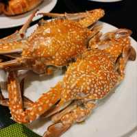 เชียงใหม่มีบุฟเฟต์ซีฟู๊ดในโรงแรม - Eat at Rincome