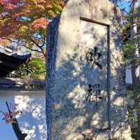 【善慧院:京都市東山区】