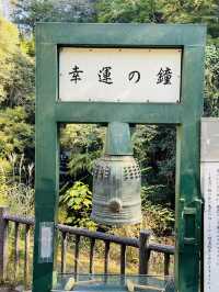【千葉×紅葉🍁】 ハート型を描き出す写真が話題になった映えスポット