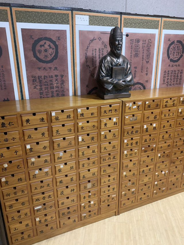 Step Into the Healing Past: A Visit to Yangnyeongsi Oriental Medicine Museum Step Into the Healing Past: A Visit to Yangnyeongsi Oriental Medicine Museum