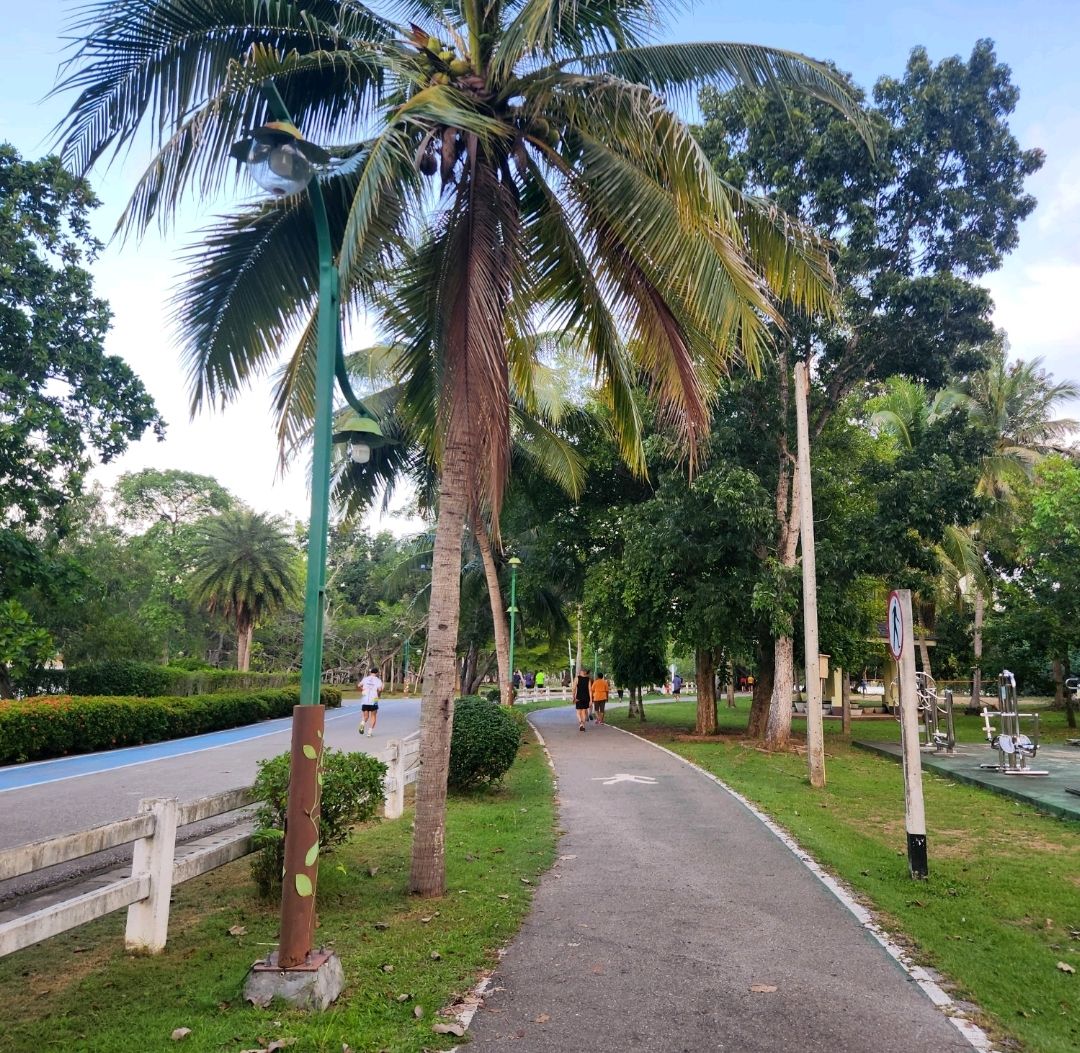 A relaxing place with a good atmosphere in the middle of Surat Thani city 🏞