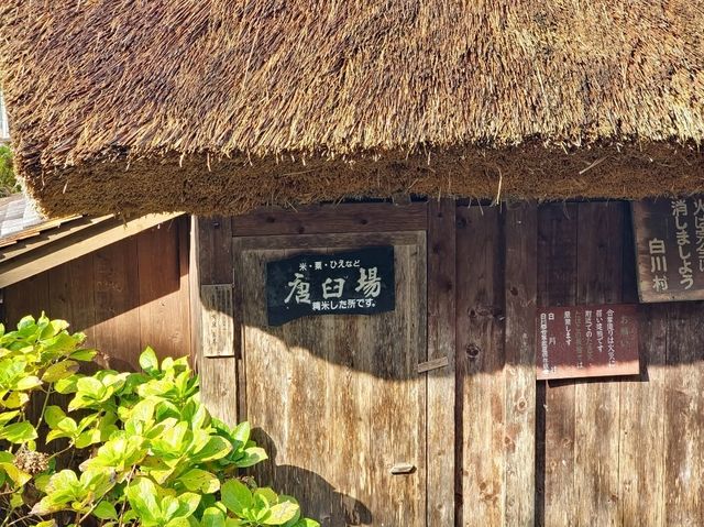 走進童話世界 - 秋天の白川鄉合掌村
