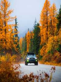 A Road Trip Through Montana: Big Sky Adventure