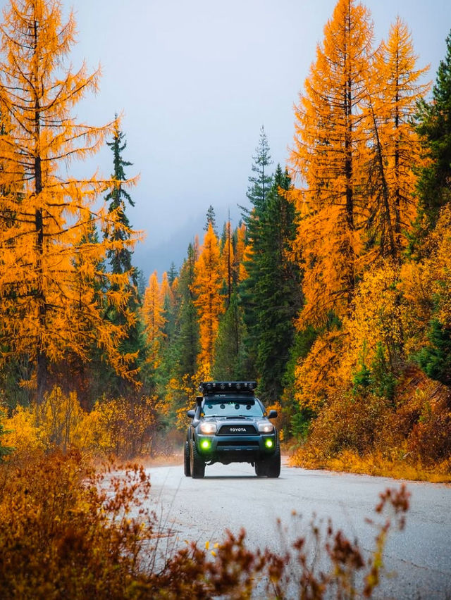 A Road Trip Through Montana: Big Sky Adventure