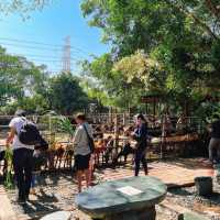 ～文山市民農園～小動物的“歡樂大派對”～