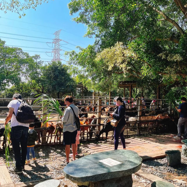 ～文山市民農園～小動物的“歡樂大派對”～