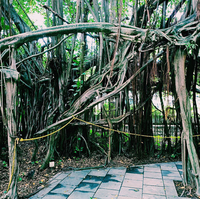馬來西亞檳城喬治城著名城市古跡綠洲公園景點:Prangin (SiaBoey) Park Georgetown，適合打卡拍照📸親子遊