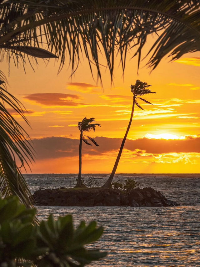 Chasing Sunsets in Hawaii: A Sky Show You Won’t Forget!