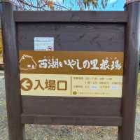 富士山周邊景點二天一夜