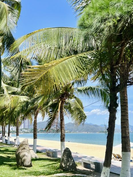 Radisson Blu Cam Ranh Resort: A Relaxing Getaway by a Beach with Aloha Vibes 🌴