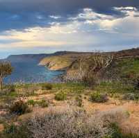 Kangaroo Island (South Australia)🇦🇺 