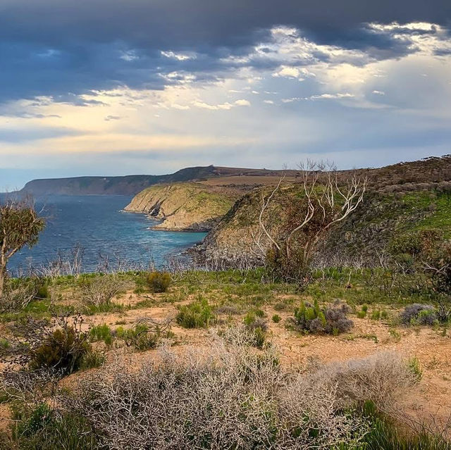 Kangaroo Island (South Australia)🇦🇺 