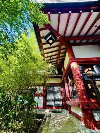 【日本伊東】來宮神社：日本能量景點，樹齡超過2000年的巨楠
