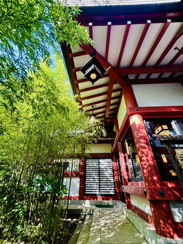 【日本伊東】來宮神社：日本能量景點，樹齡超過2000年的巨楠