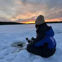 Legit Aurora Cabins in Levi Finland: Let the lights find you 