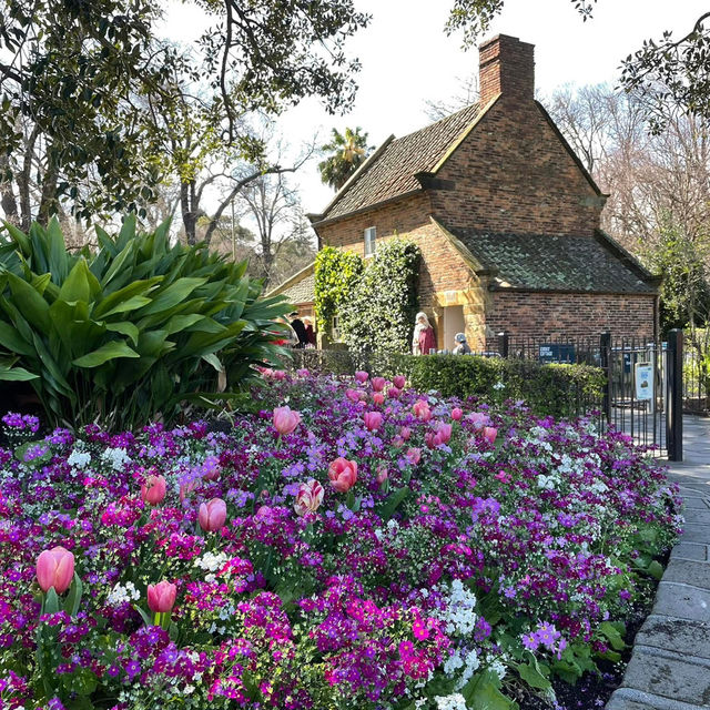 Serene Escape: Fitzroy and Treasury Gardens in East Melbourne