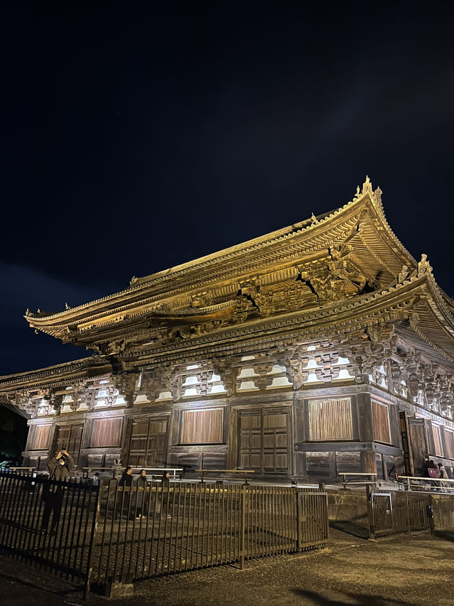 【京都　東寺】紅葉ライトアップ